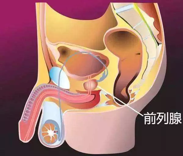前列腺越“老”越大，忍还是切？